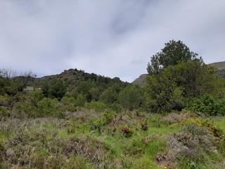 Residential Plot in Vall d´Uixó (la). Solar en venta en carbonaire.