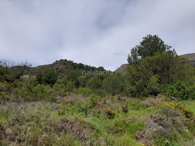 Foto b31ef7be-5162-45e5-82d9-421f918c3534. Terreno residencial solar en venta en carbonaire. en Vall d´Uixó (la)