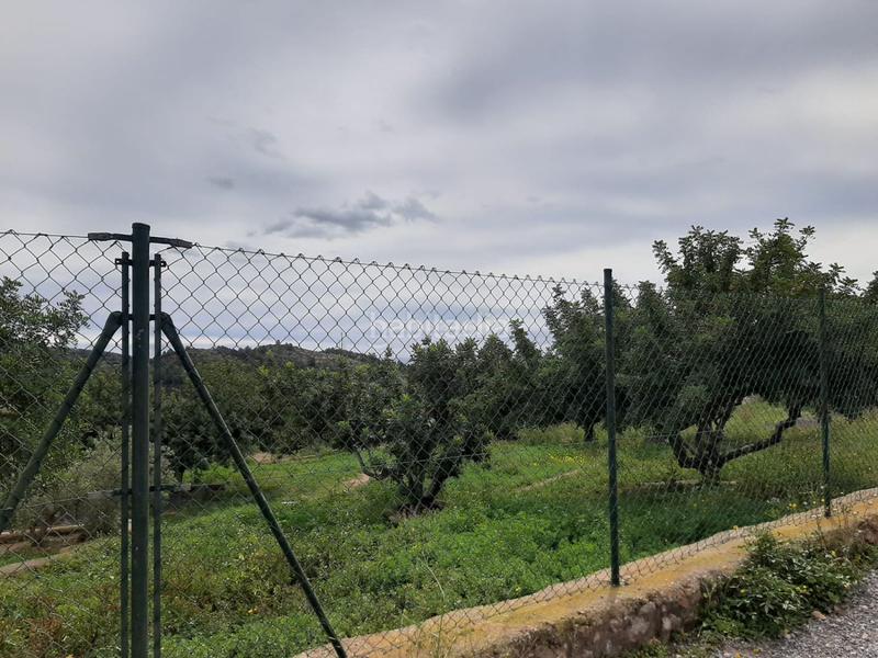 Foto e2e2246f-c14a-4697-a870-3b03975fce33. Terreno residencial solar en venta en carbonaire. en Vall d´Uixó (la)