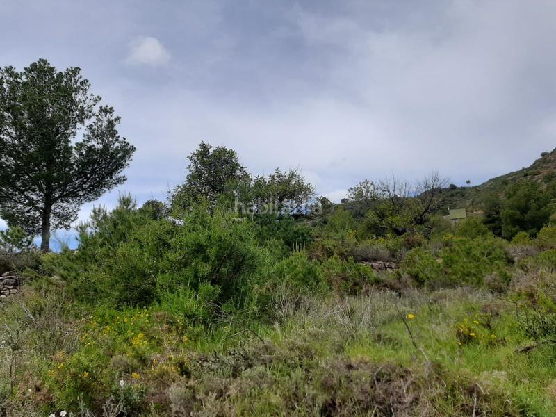 Foto f204c9f8-a18e-48a7-82b2-0af91fe06c72. Terreno residencial solar en venta en carbonaire. en Vall d´Uixó (la)