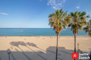 Pis  Passeig de colom 9. En 1ª línea de mar!!