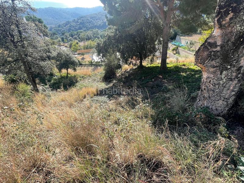 Foto 6c655bbc-9bb8-4363-8aa0-173fb5c769bd. Terrain résidentiel dans calle centre 53 dans Sant Cebrià de Vallalta