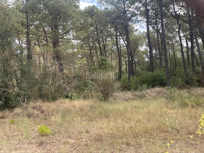 Foto 4570ee61-8ec8-475c-85b9-0d36a68fc254. Finca rústica en càmping caravaning internacional costa brava 184 parcela rustica agrícola tocando camping en Tordera