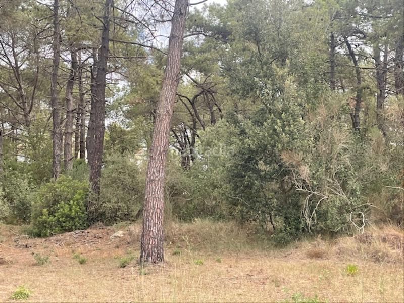Foto 47f44509-4acd-46a3-8a4d-02b692ad8ca6. Finca rústica en càmping caravaning internacional costa brava 184 parcela rustica agrícola tocando camping en Tordera