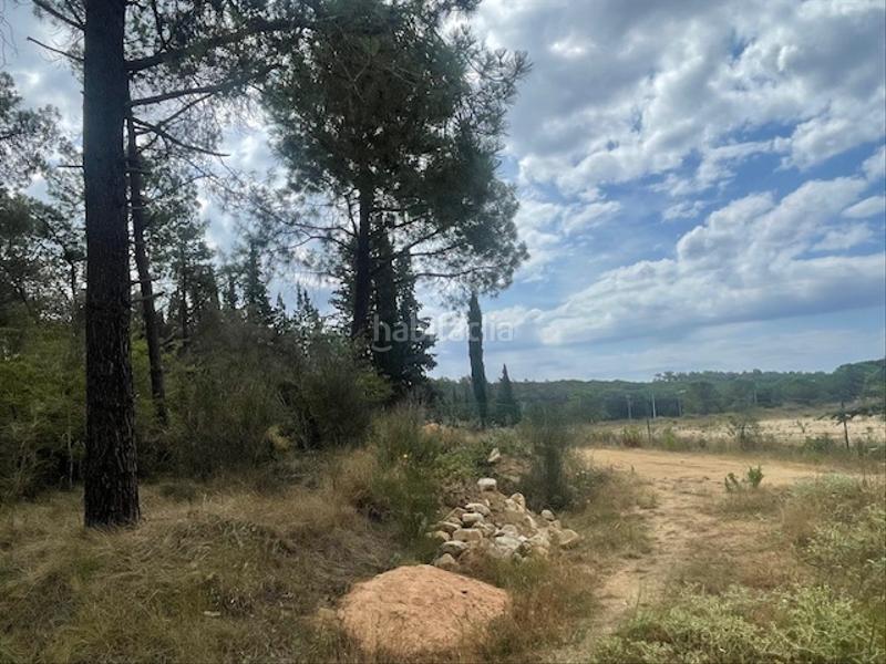 Foto 58434d33-fa65-4b03-b7c5-2ba50e7ca2d8. Finca rústica en càmping caravaning internacional costa brava 184 parcela rustica agrícola tocando camping en Tordera