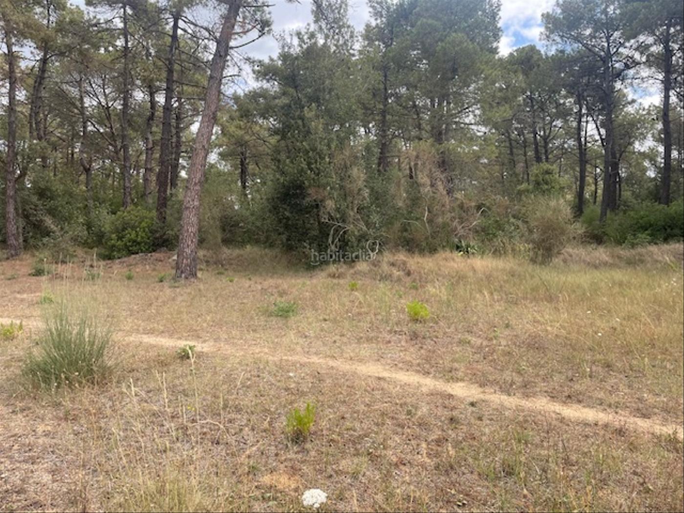 Parcela rustica agrcola tocando camping Tordera