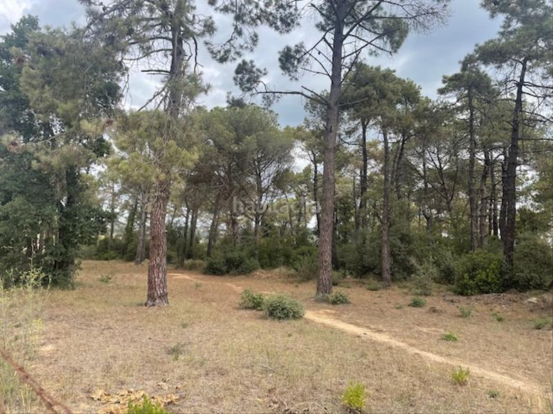 Foto aa9baf28-6f3a-4391-ac16-14e7dc1dfb2b. Finca rústica en càmping caravaning internacional costa brava 184 parcela rustica agrícola tocando camping en Tordera