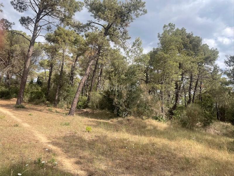 Foto b7bfe029-5d3d-4e52-ba02-5097586b31c7. Finca rústica en càmping caravaning internacional costa brava 184 parcela rustica agrícola tocando camping en Tordera