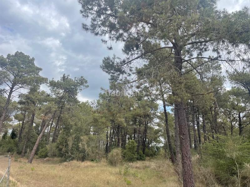Foto d4c4b7b6-c132-4d65-af07-b45bb19a0d91. Finca rústica en càmping caravaning internacional costa brava 184 parcela rustica agrícola tocando camping en Tordera