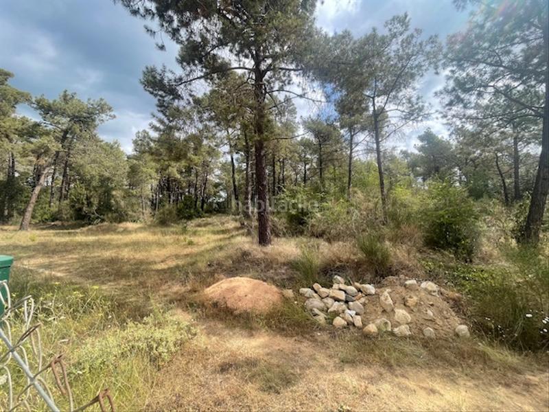 Foto f7cbe5a1-5144-4538-bc96-19612140c41e. Finca rústica en càmping caravaning internacional costa brava 184 parcela rustica agrícola tocando camping en Tordera