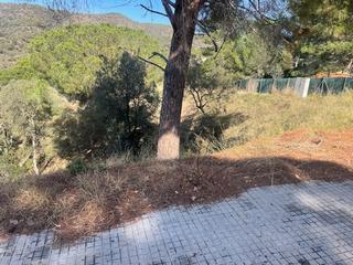 Terreny residencial a Mas Mora-Sant Daniel. Parcelas sant daniel