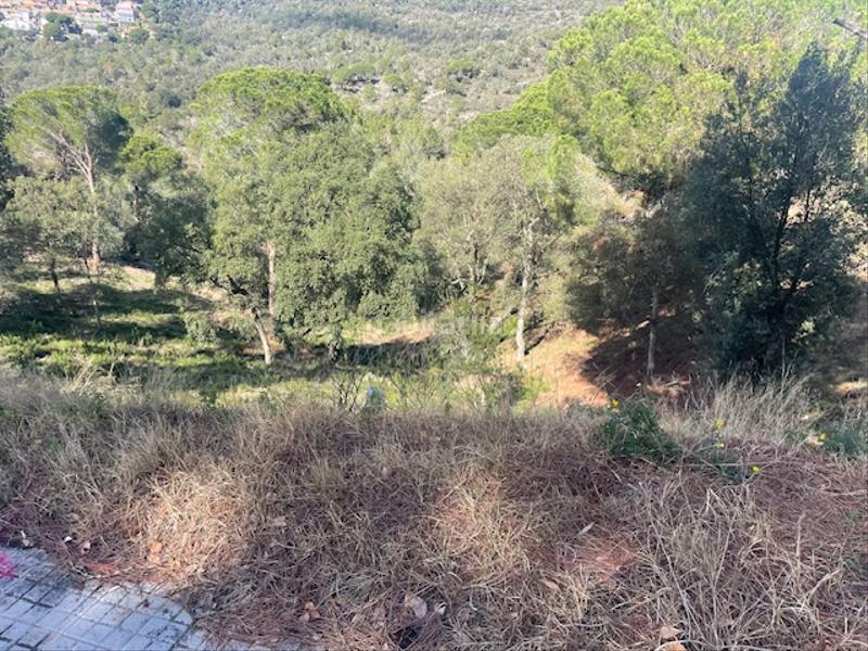 Foto 3846de9b-cfbf-440c-8d1e-be9f452cf09b. Terrain résidentiel dans Mas Mora-Sant Daniel Tordera