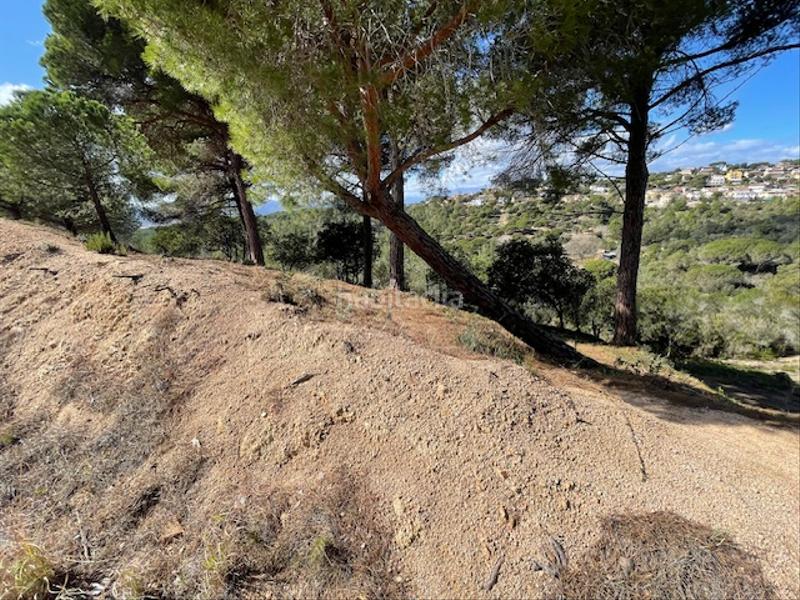 Foto 84465d23-fc26-4828-afa8-d705506796d3. Terrain résidentiel dans Mas Mora-Sant Daniel Tordera