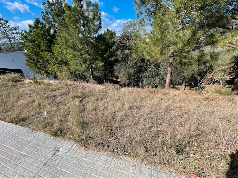 Foto bbf1c9e8-3641-4360-ba72-761b4acbb78a. Terrain résidentiel dans Mas Mora-Sant Daniel Tordera