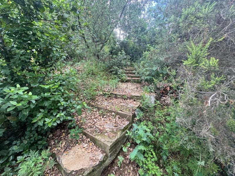 Foto f5518d15-d8de-4866-a749-2afa4a582ae8. Chalet con parcheggio in Can Carreras - Montessol Pineda de Mar