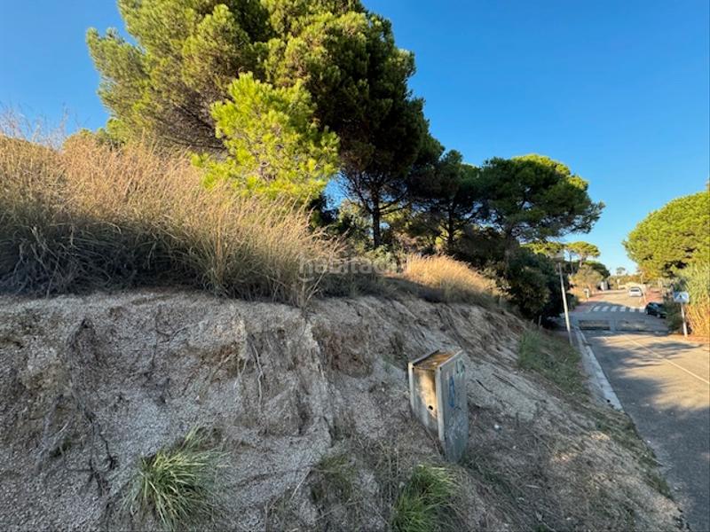 Foto 16b543b3-4cb5-4ee7-98cc-ed0db8a6109e. Wohngrundstück in polígon sector sa clavella sap 48 in Arenys de Mar
