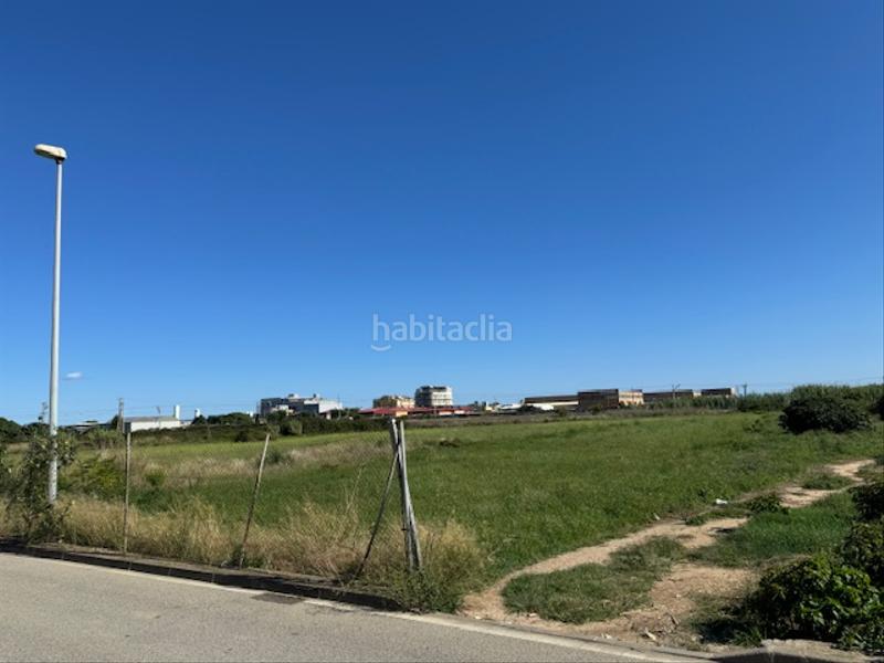 Foto 058613a7-0255-4d37-a3bd-953f35c95b2e. Fondo rustico in camí del pla 73 in Malgrat de Mar