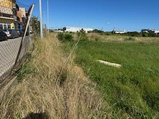 Propriété à Camí del pla 73. Terreno rustico dentro un plan parcial en  malgrat de mar.