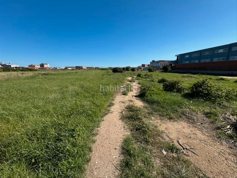 Foto 3a93998c-7a93-4d7a-b35c-e21aeb403788. Fondo rustico in camí del pla 73 in Malgrat de Mar