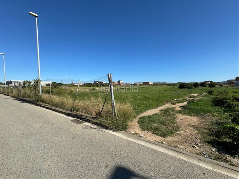 Foto 4da36516-9b5a-4915-9643-3e03193beb13. Fondo rustico in camí del pla 73 in Malgrat de Mar