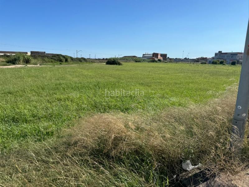 Foto f93cc68e-d0d3-4a96-8c06-41c6dd0d32ea. Fondo rustico in camí del pla 73 in Malgrat de Mar