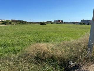 Propriété à Camí del pla 81. Terreno rustico dentro un plan parcial en  malgrat de mar.