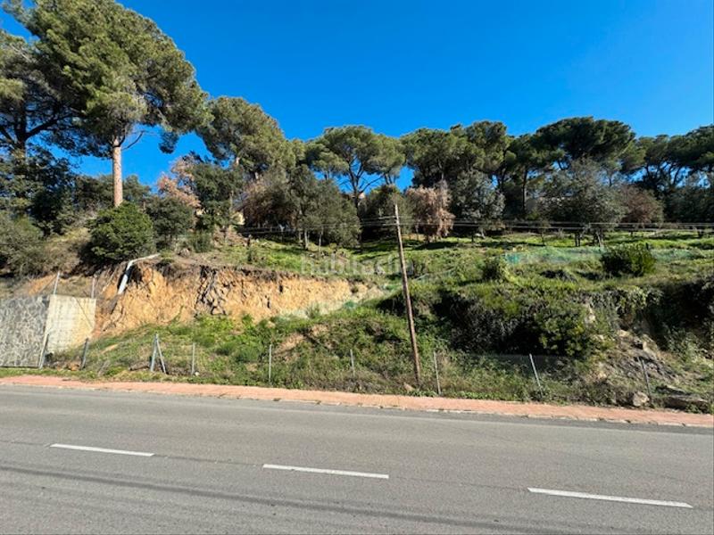 Foto 3ba79fff-bbe6-4eaa-abfc-390c4b4dca66. Terreny residencial a avinguda can massuet 18 a Can Massuet del Far Dosrius