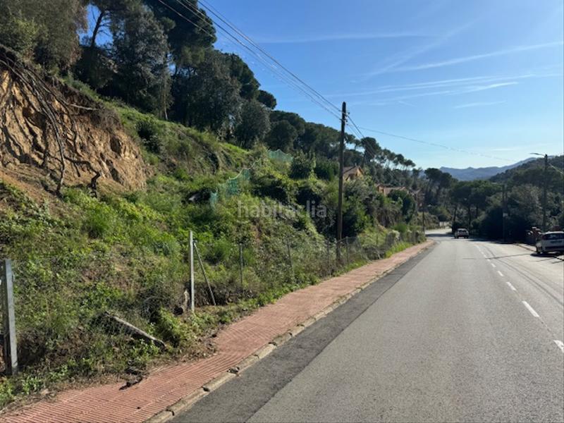 Foto fcde5995-ff38-4a90-8d67-f6a4ae29df63. Terreny residencial a avinguda can massuet 18 a Can Massuet del Far Dosrius