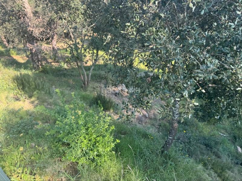 Foto 15d564de-e4ed-43c9-bd1d-b5e64fe8b0b5. Terreno residenziale in carrer l'avet 456 in Niàgara Parc -Àgora Parc Tordera