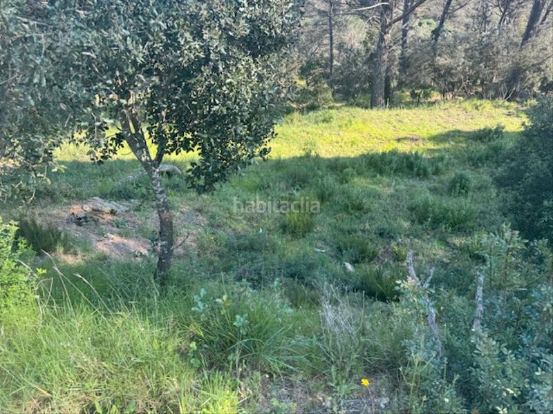 Foto 2724343c-aac5-4986-a76e-6a13d0284667. Terreno residenziale in carrer l'avet 456 in Niàgara Parc -Àgora Parc Tordera