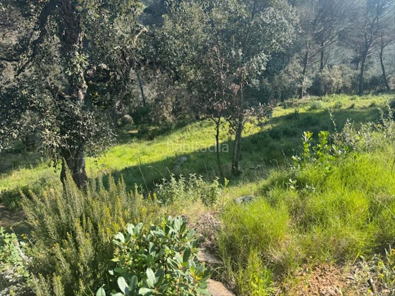 Foto 41704162-1003-454c-818a-8c8464cfd58b. Terreno residenziale in carrer l'avet 456 in Niàgara Parc -Àgora Parc Tordera