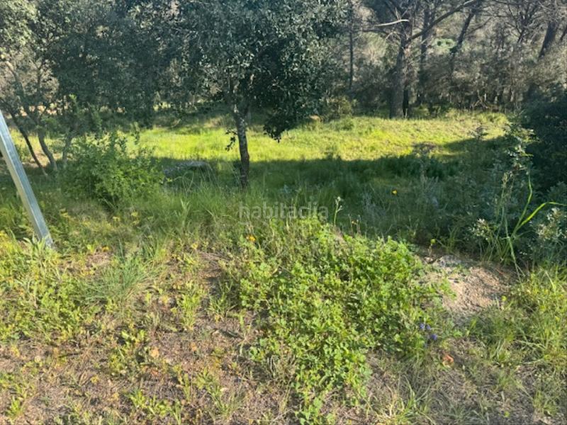 Foto 42bf10f0-6385-454b-aa6b-298ab0d84822. Terreno residenziale in carrer l'avet 456 in Niàgara Parc -Àgora Parc Tordera