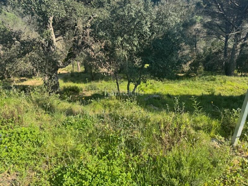 Foto 45ea2ecc-935b-43a3-a120-e4859ac06446. Terreno residenziale in carrer l'avet 456 in Niàgara Parc -Àgora Parc Tordera