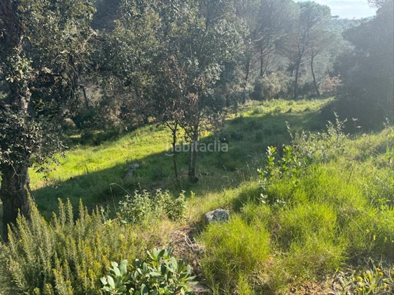 Foto 60aa35d5-7494-4585-b67f-a335d14ceebf. Terreno residenziale in carrer l'avet 456 in Niàgara Parc -Àgora Parc Tordera