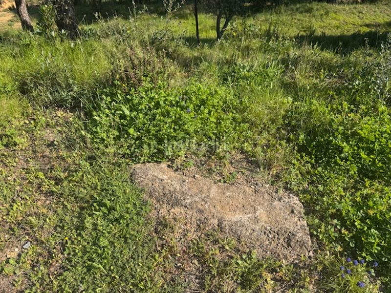 Foto 65a75042-7a72-4e10-844a-8ada2ae3ac98. Terreno residenziale in carrer l'avet 456 in Niàgara Parc -Àgora Parc Tordera