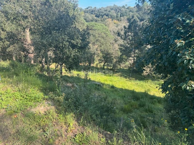 Foto 896350e9-9722-478e-92cf-2191f4b6d9d2. Terreno residenziale in carrer l'avet 456 in Niàgara Parc -Àgora Parc Tordera