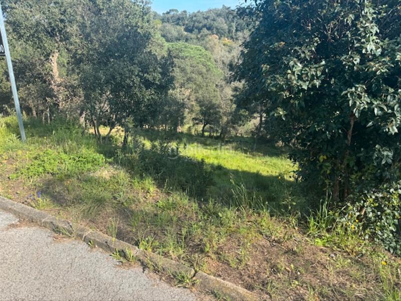 Foto f8715293-0c51-4853-aca9-385f148f96bd. Terreno residenziale in carrer l'avet 456 in Niàgara Parc -Àgora Parc Tordera