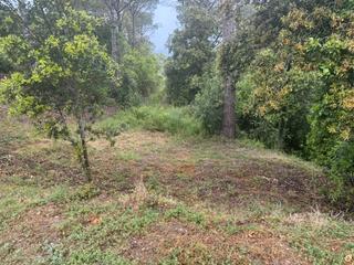 Propriété à Urbanització collsacreu 135. Terreno de 90.000m2 zona en plena naturaleza bien comunicado