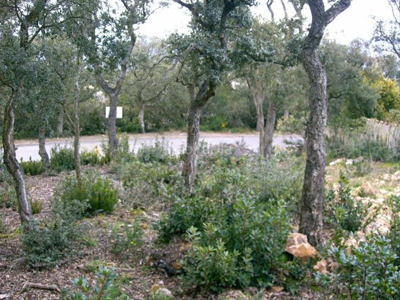 Foto 1cf040b6-a321-460e-8d78-82976c8c5a4c. Terrain résidentiel dans Urbanitzacions Platja d´Aro