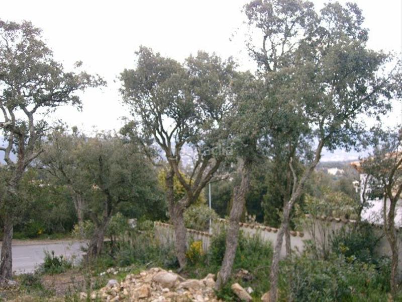 Foto 1d9f7084-8561-4984-83b2-173ceaac0c0e. Terrain résidentiel dans Urbanitzacions Platja d´Aro