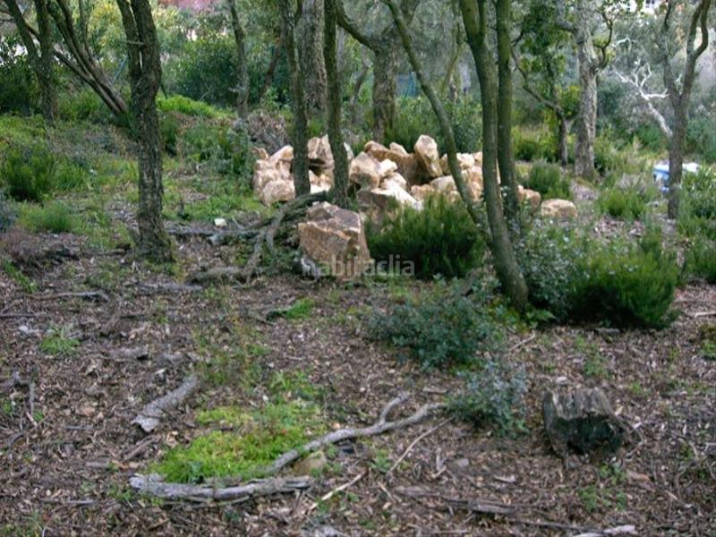 Foto 405b75ad-7f54-4c51-af6c-0ea7f4ace7e4. Terrain résidentiel dans Urbanitzacions Platja d´Aro