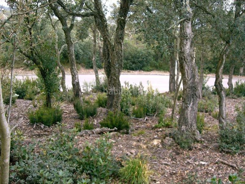 Foto 6665c4ca-d462-4a1a-9d17-5ae8a666e267. Terrain résidentiel dans Urbanitzacions Platja d´Aro