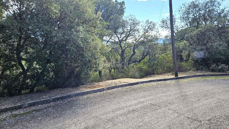 Foto 33d15cac-a593-471c-a856-549419e178be. Wohngrundstück in Urbanitzacions del Nord Santa Cristina d´Aro