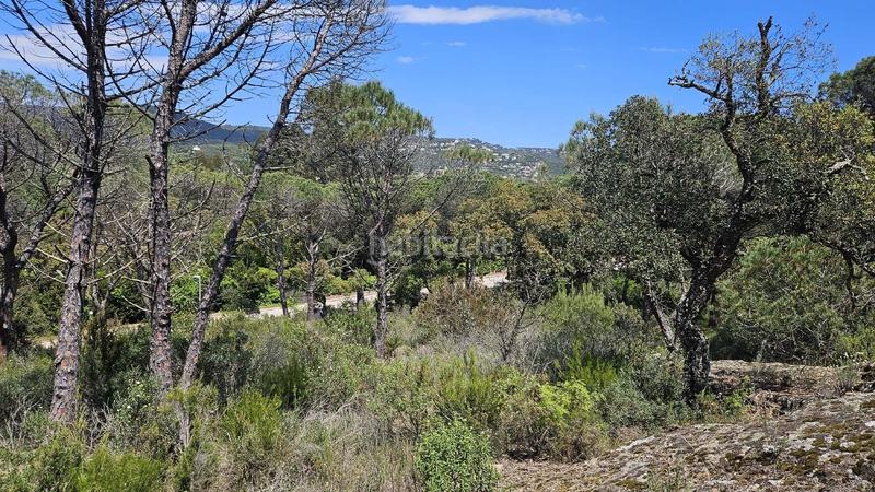 Foto 9c4534da-aa3a-44e3-8760-c65d6c8c14b6. Propriété dans Golf Costa Brava Santa Cristina d´Aro