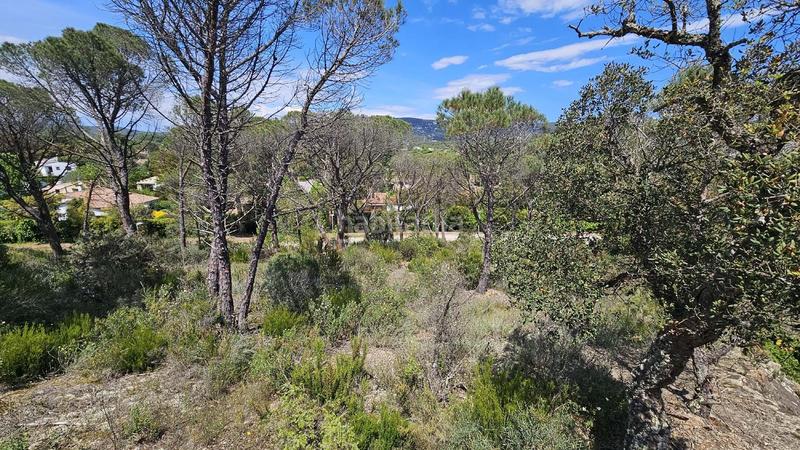 Foto bcaa032a-889c-44f1-8832-17b8473d3df5. Propriété dans Golf Costa Brava Santa Cristina d´Aro