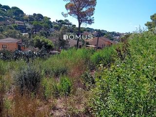 Finca rústica  Dels eucaliptus. Parcela urbana en venta en maçanet de la selva
