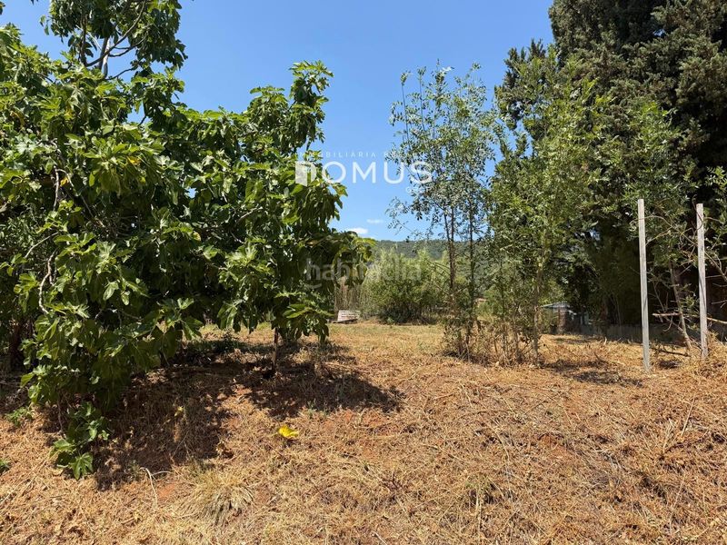 Foto 996891ef-f1d0-4867-87d8-83f4b8c4f06c. Finca rústica a Maià de Montcal