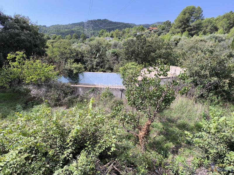 Foto f7c6e63e-40d9-4831-878b-957cf2246e49. Bauernhof in Borges del Camp (Les)