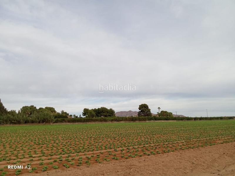 Foto 85fc828f-9b29-4ec4-adab-97f81fe6dff8. Masia a Mar Menor golf Torre - Pacheco