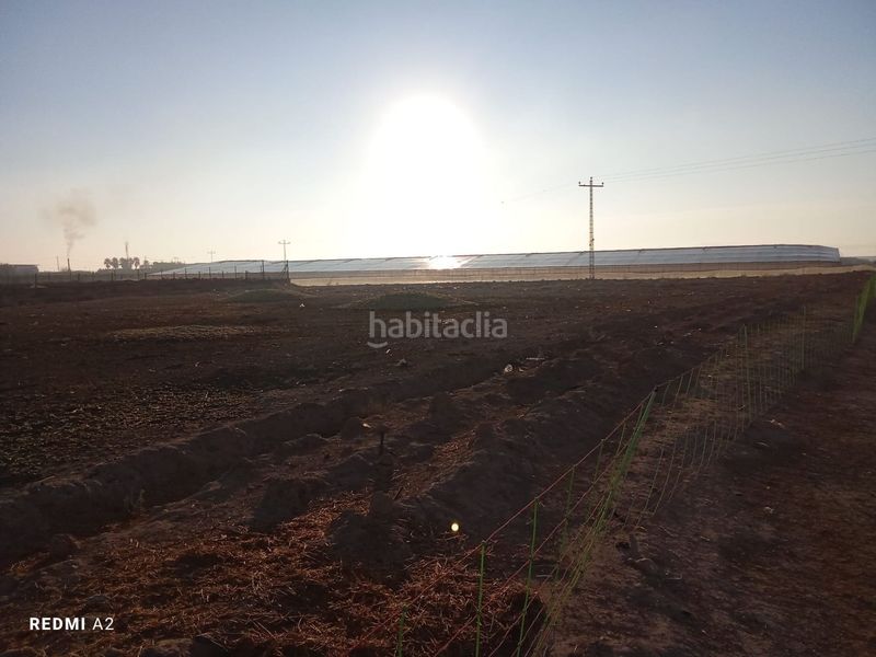 Foto 4e842e8e-a504-4d23-a4c1-a1f40f2e4050. Finca rústica a El Mirador Pozo Aledo San Javier